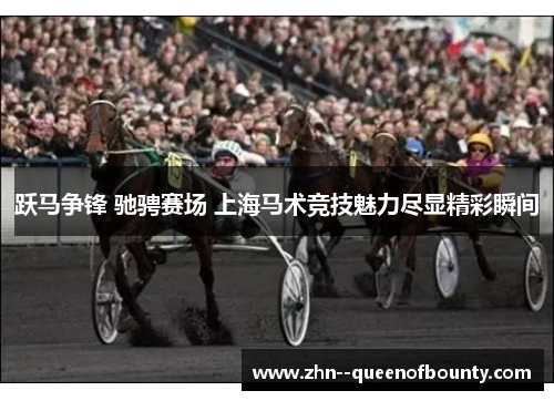 跃马争锋 驰骋赛场 上海马术竞技魅力尽显精彩瞬间